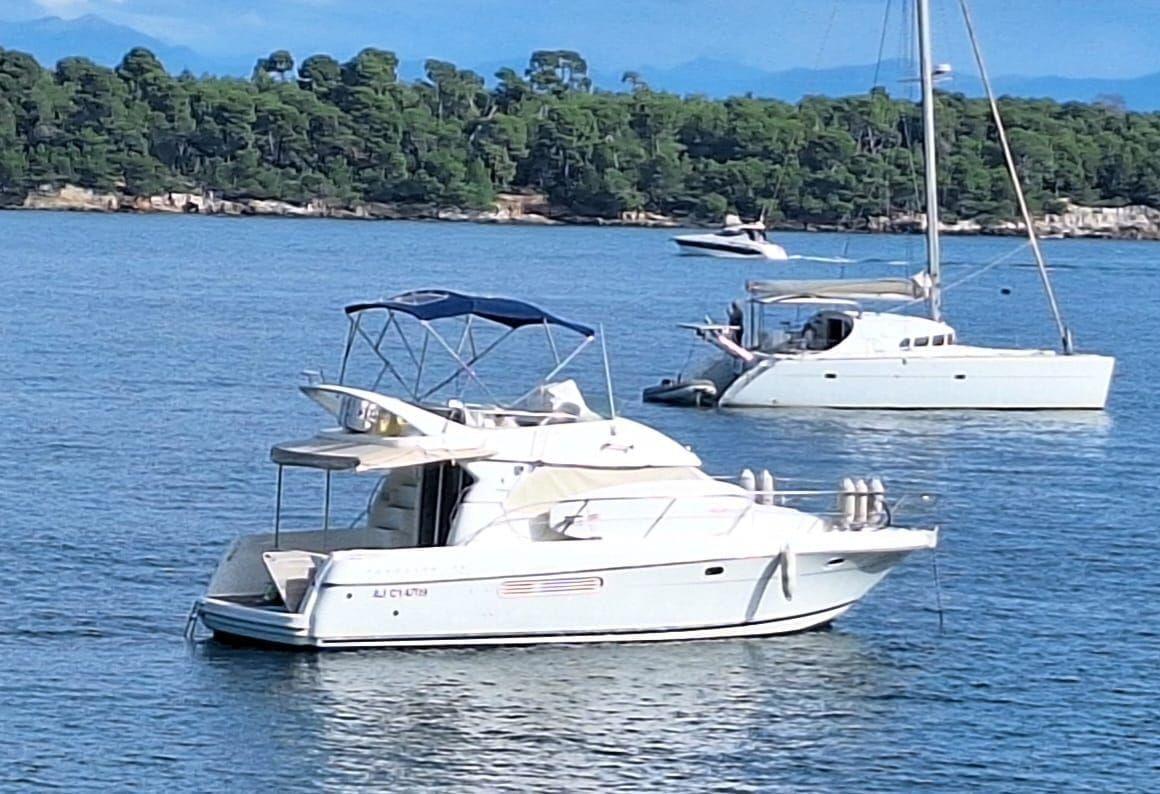 prestige 36 fly