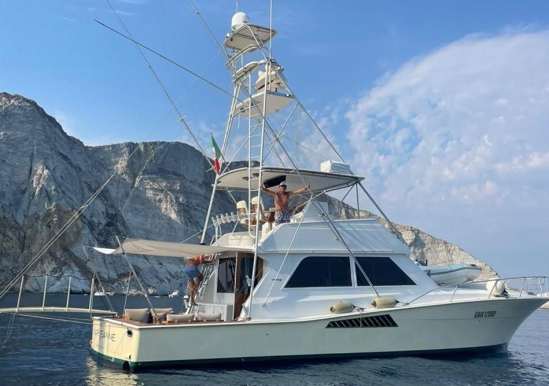 viking marin Viking 50