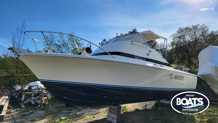 bertram Bertram bahia mar 25