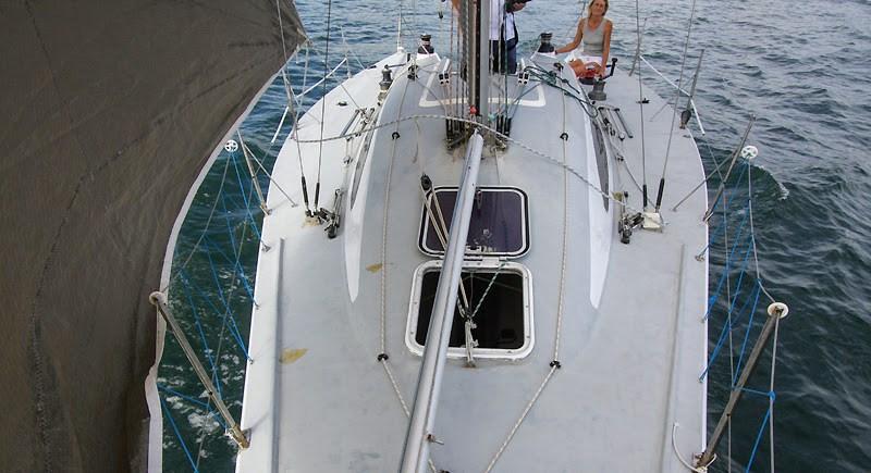 carroll marine Mumm 36