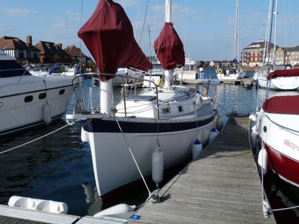 freedom 30