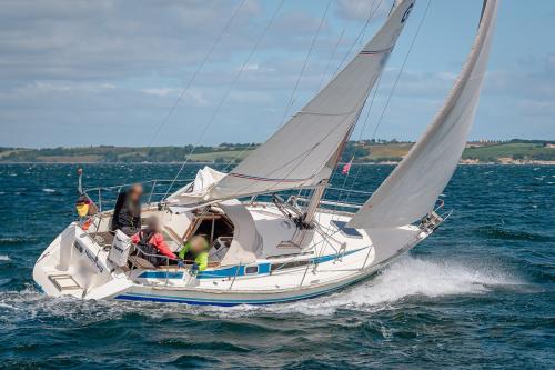  finngulf 31