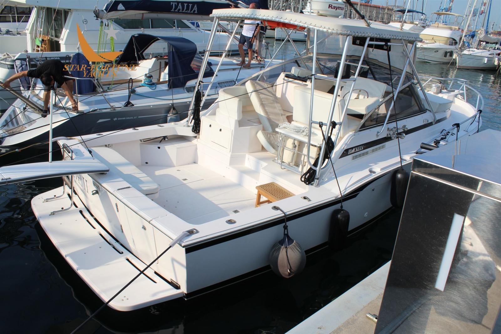 blackfin 31 combi