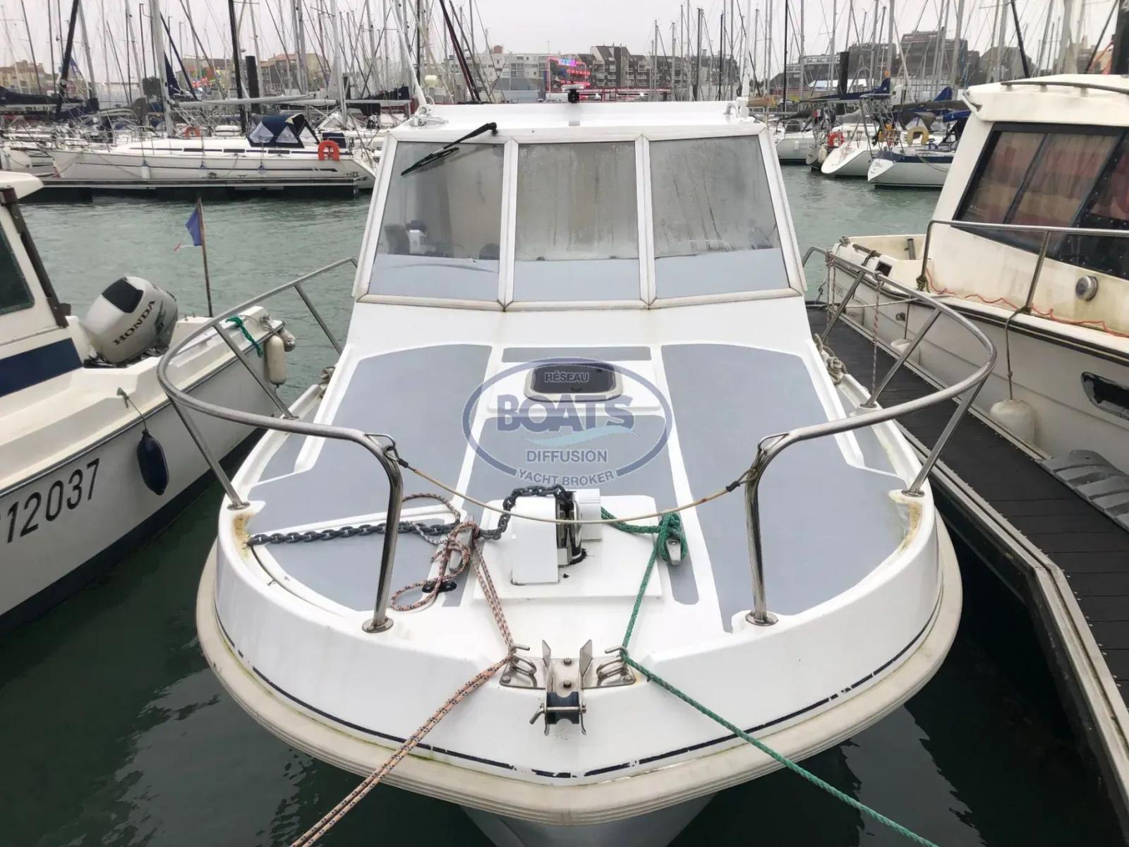 eider marine Sea rover