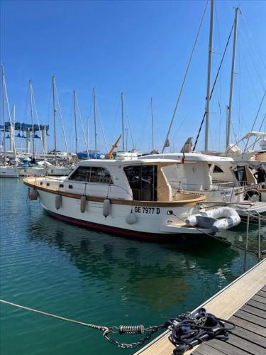 Sciallino 40