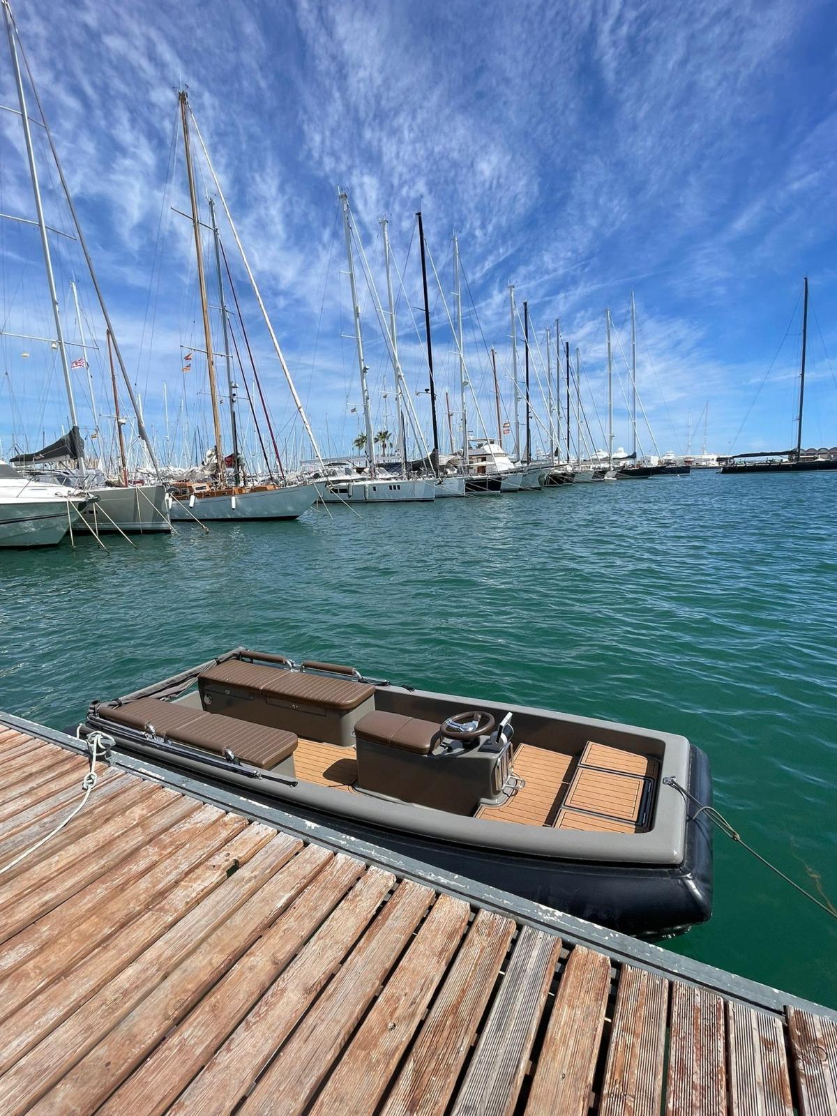 yachtwerft hamburg Ribcat 4.3