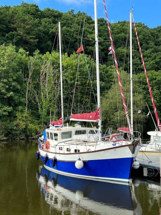 colvic Colvic watson 34.6 ms