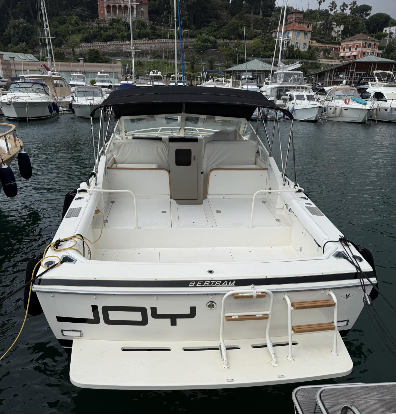 bertram yacht 28' moppie