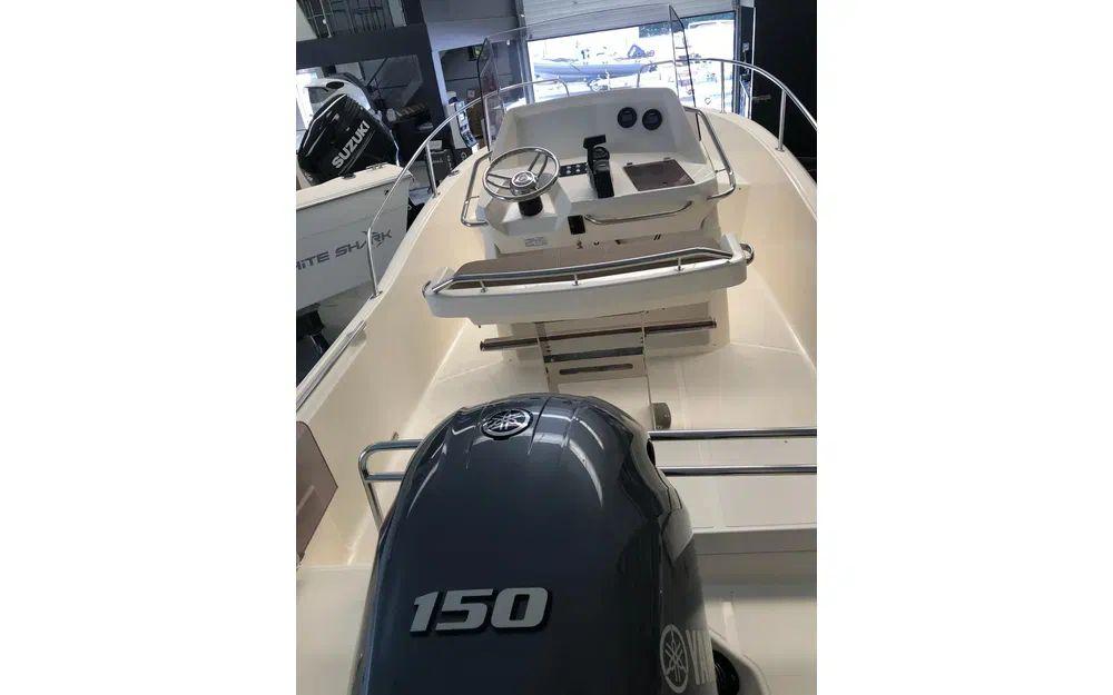 white shark White shark 210 cc origin