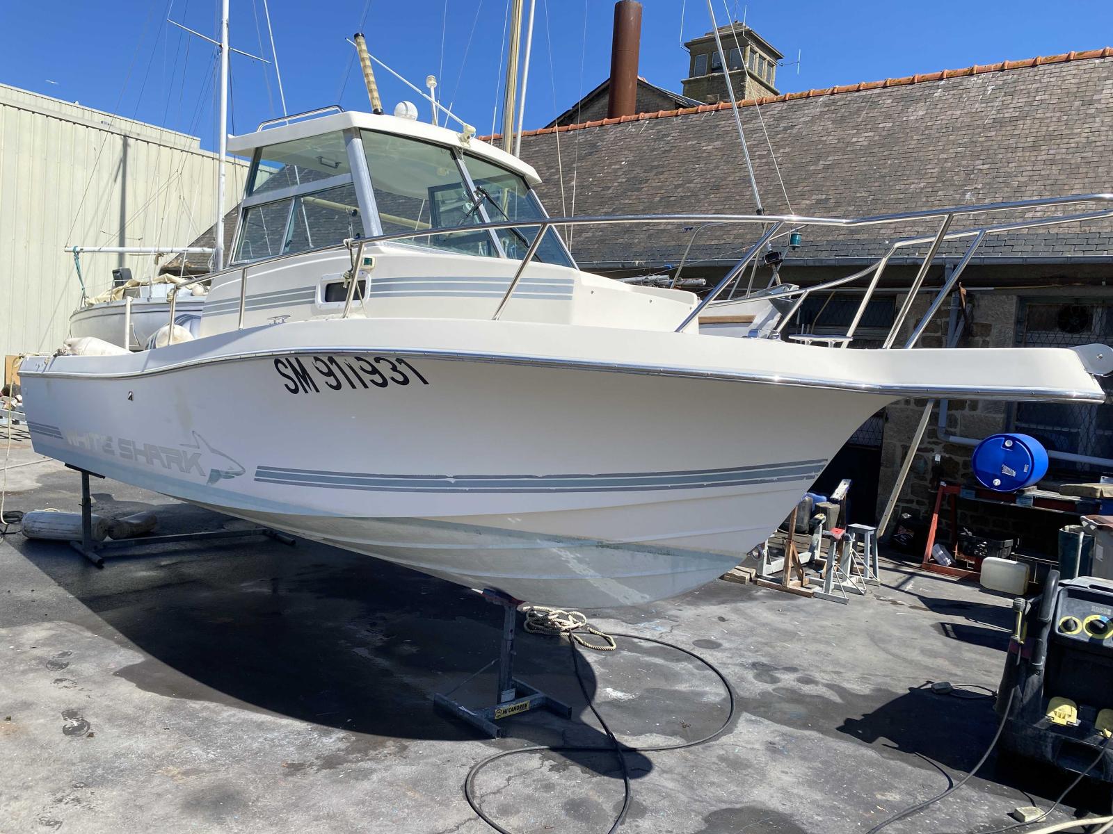 white shark 226 timonier