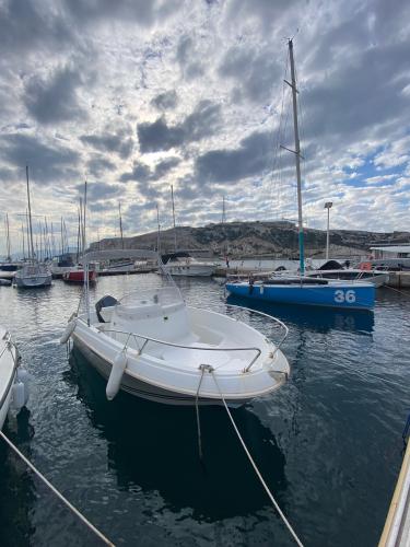 Jeanneau cap camarat 5.5 cc