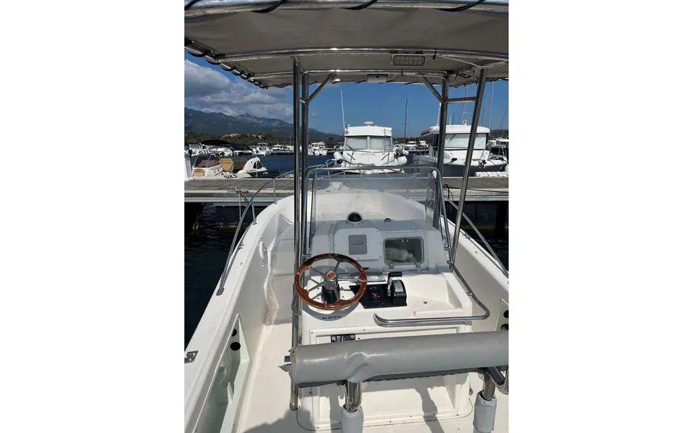 white shark White shark 225