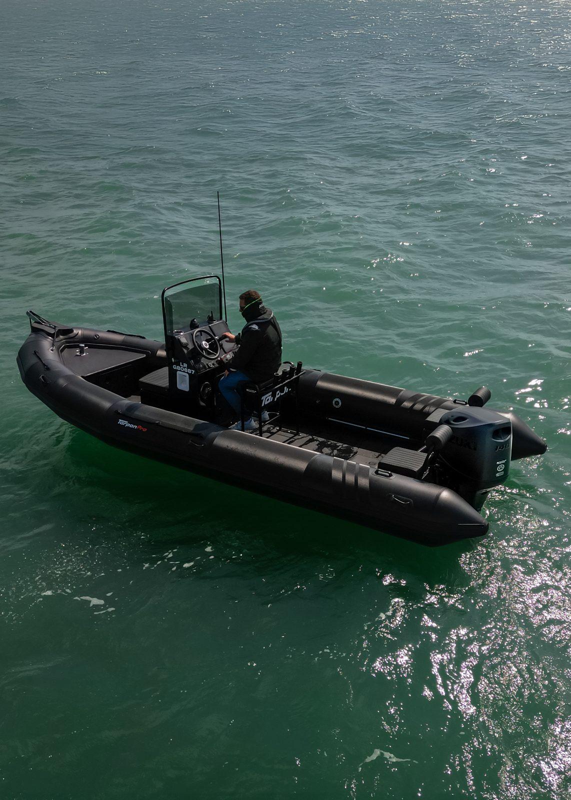 tarpon Tarpon dv65