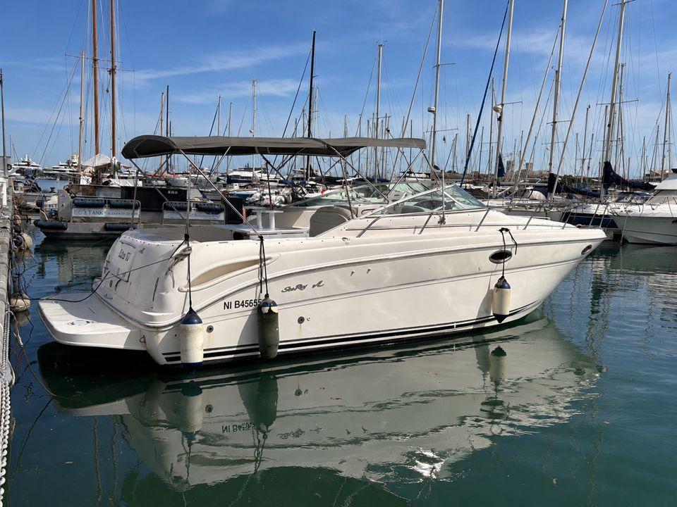 sea ray 290 amberjack