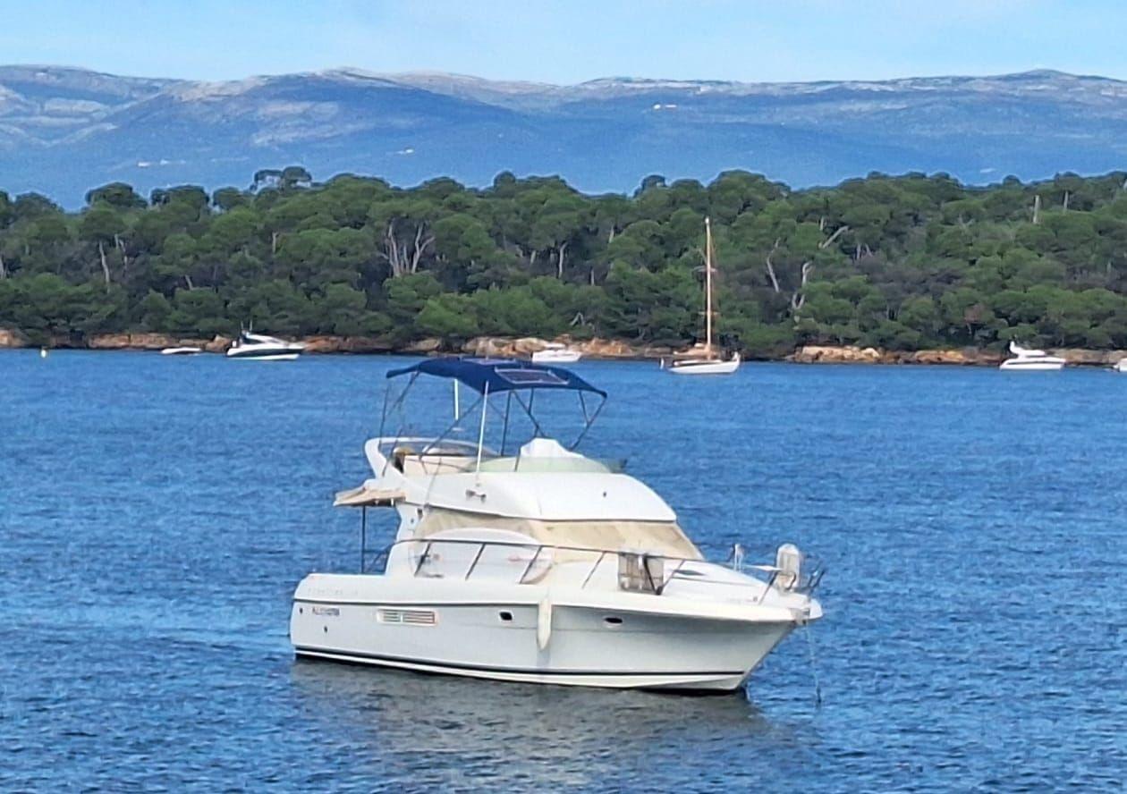 prestige 36 fly