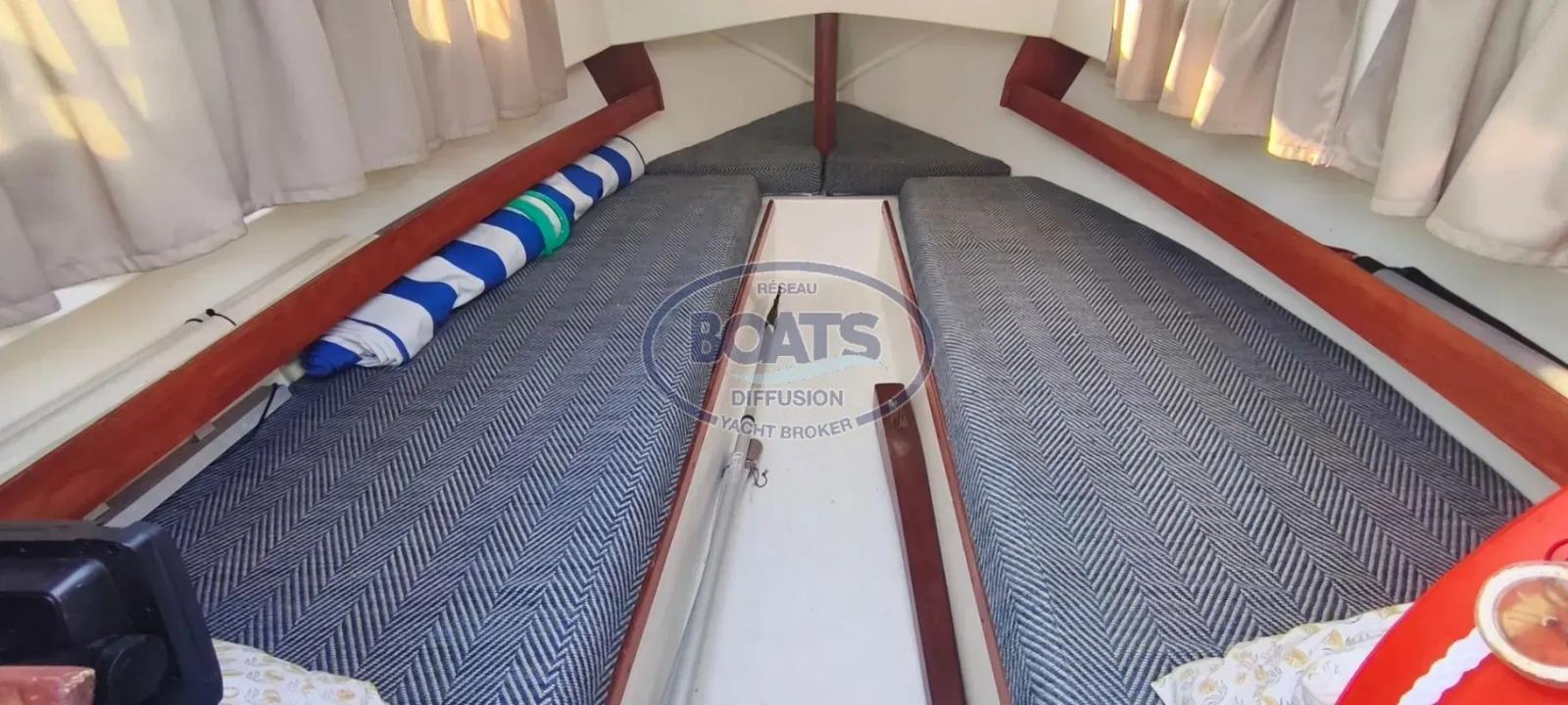 menorquin Menorquin 31