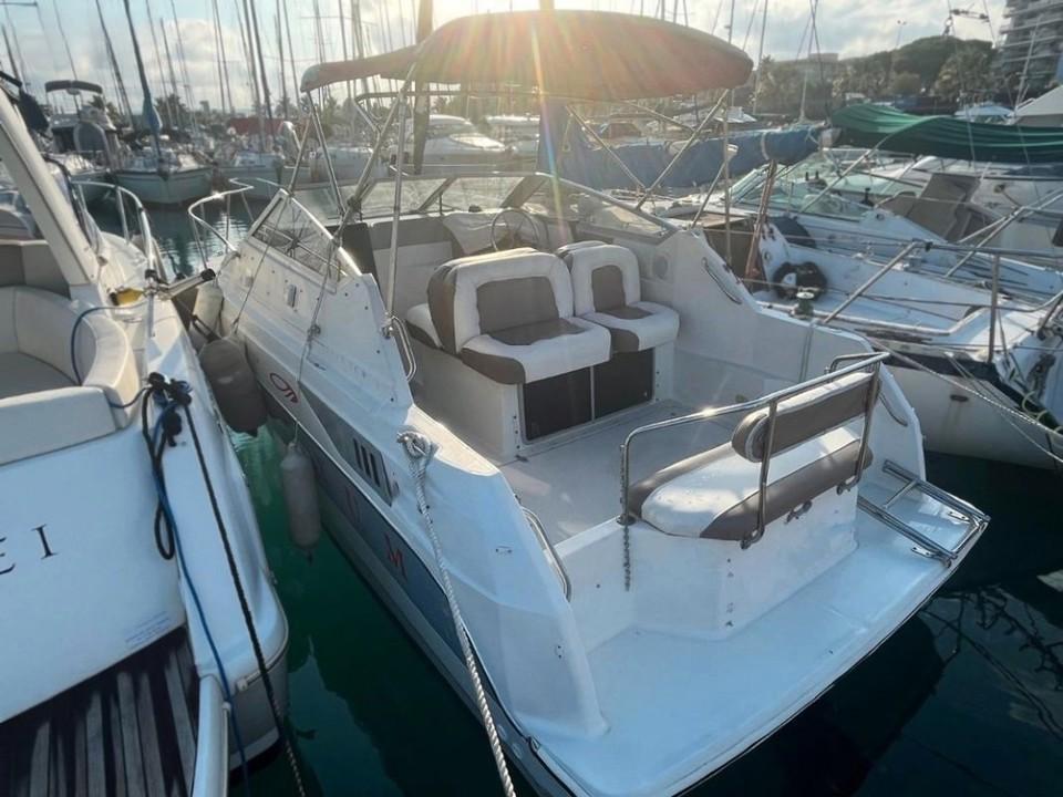 maxum 2355