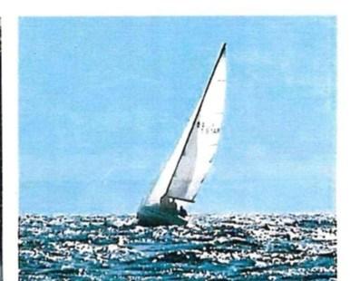 plastivela Mousse 9.07