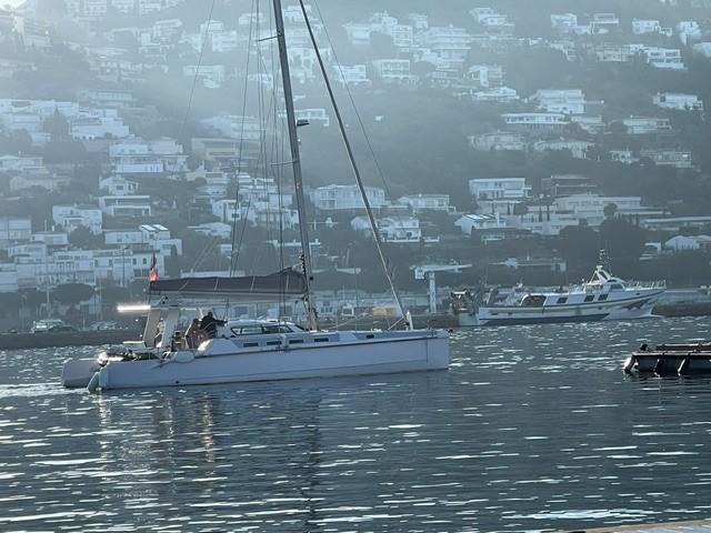 edel Cat 43