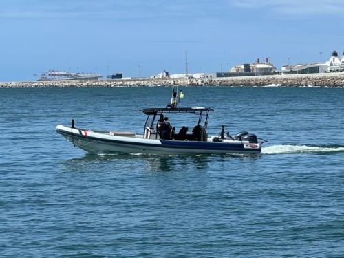 Searib's 10.80 pro