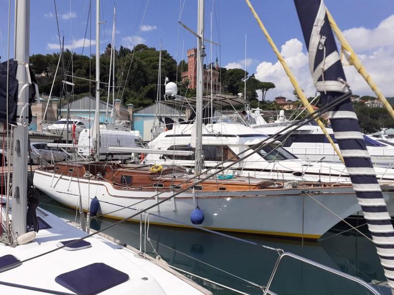 albatros deniz Albatros 49