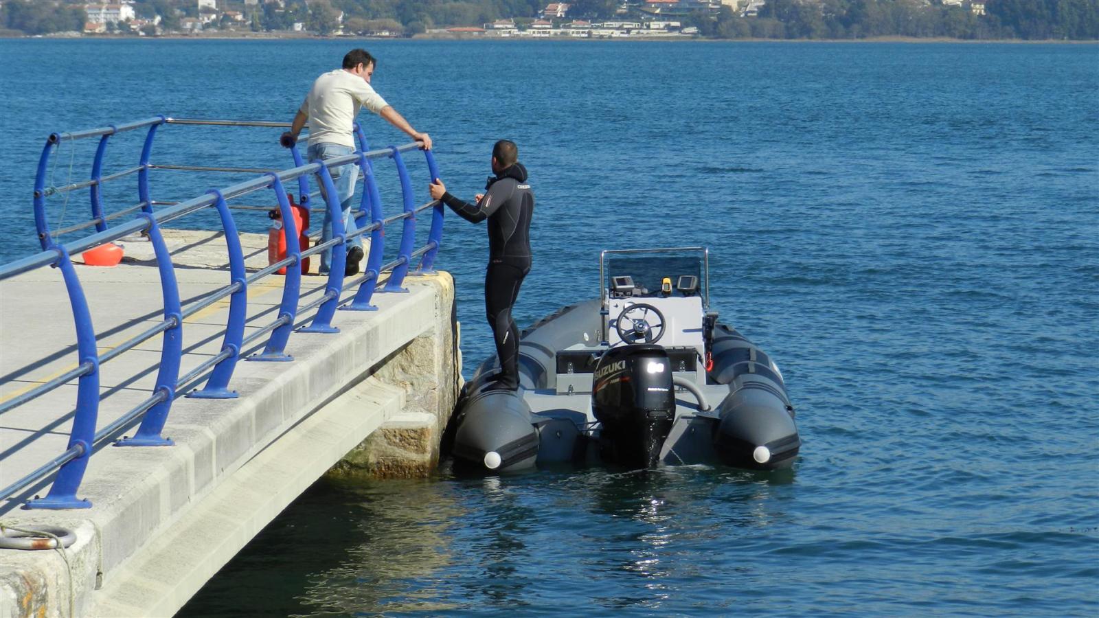 tarpon Tarpon ad55