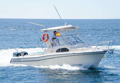 Grady white boats 282 sailfish wa