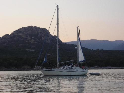 nauticat 43