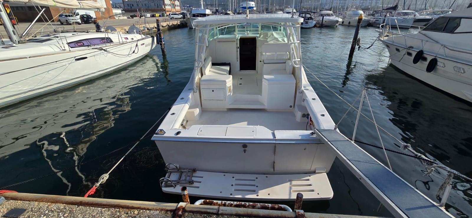 cabo 31 express