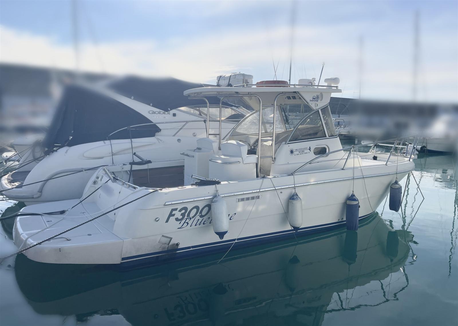 zeta group F300 bluetime