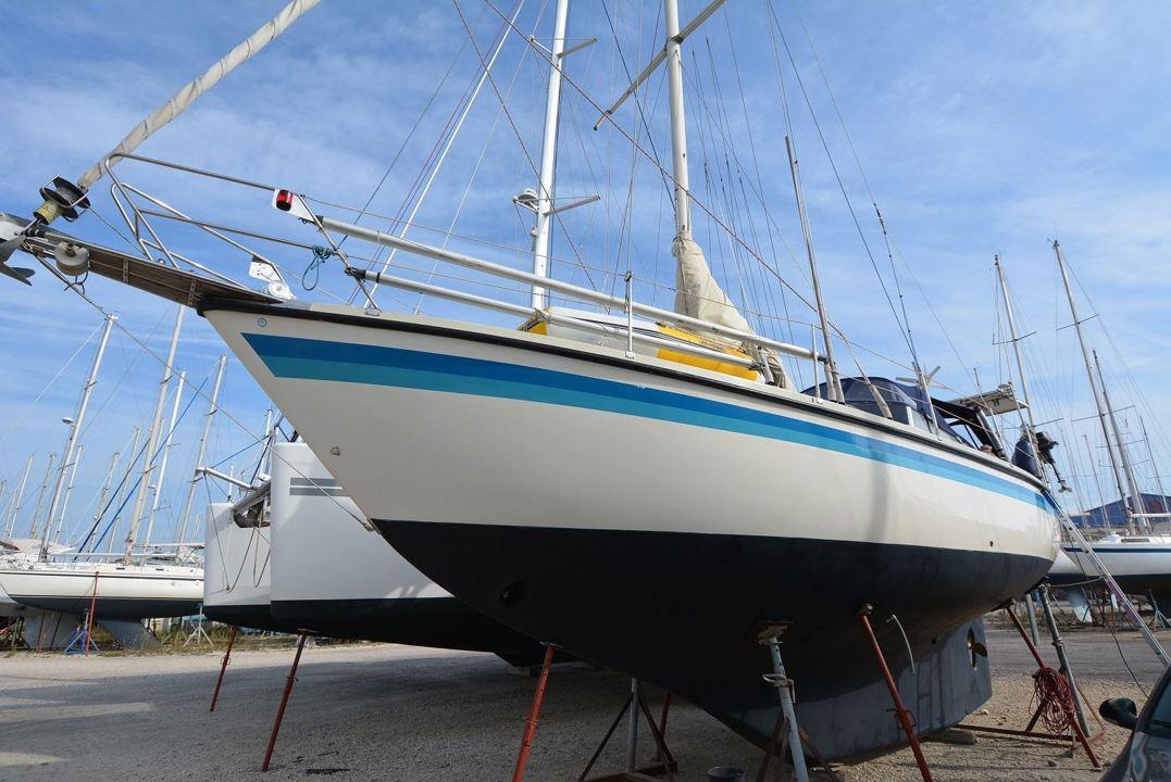 Mon 391
