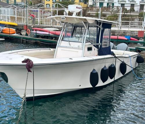 Grady white boats 306 bimini cc