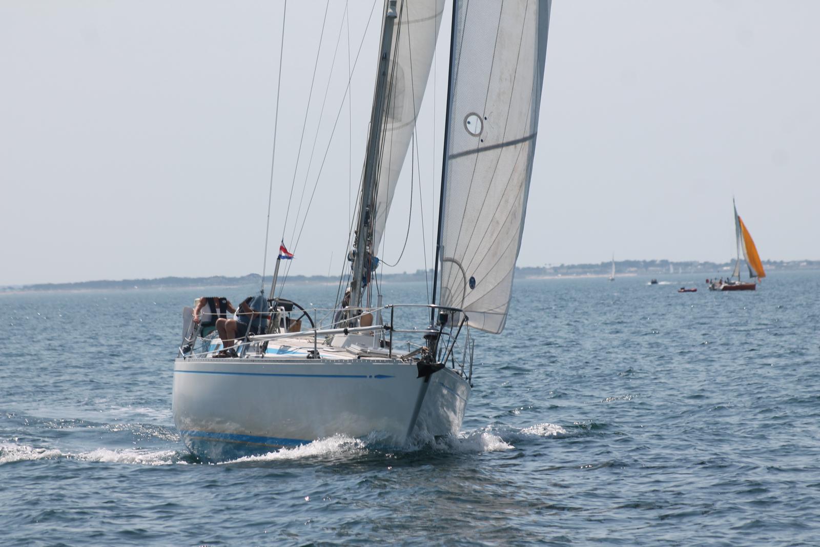 swan Swan 371