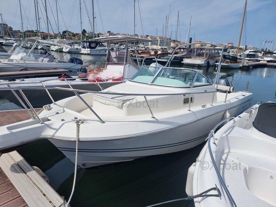 kelt White shark 236
