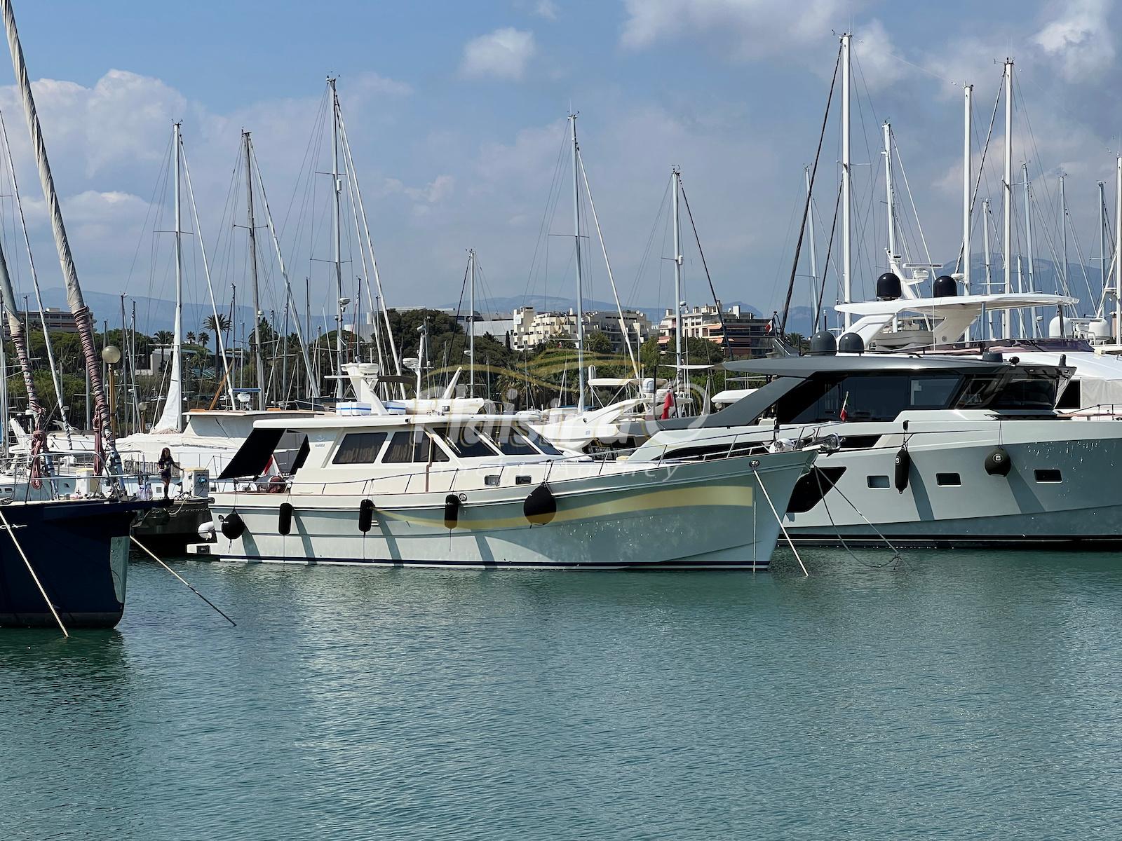 shanghai double + hampton Alaska 17