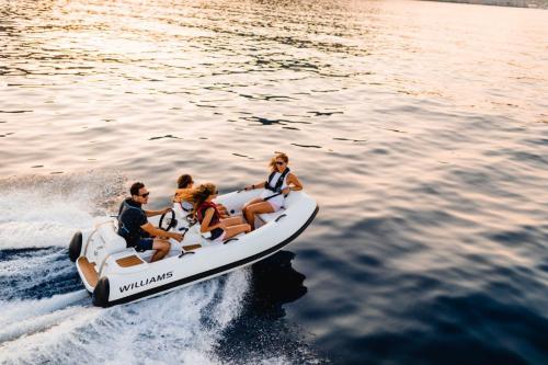 Williams turbojet 325