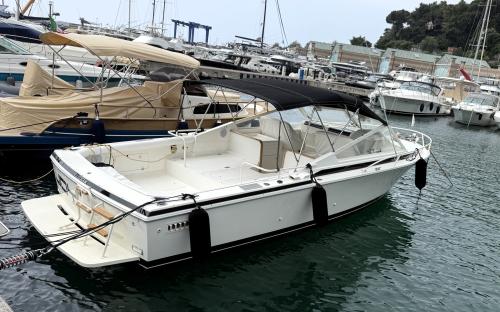 Bertram yacht 28' moppie