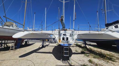 Pulsar 33
