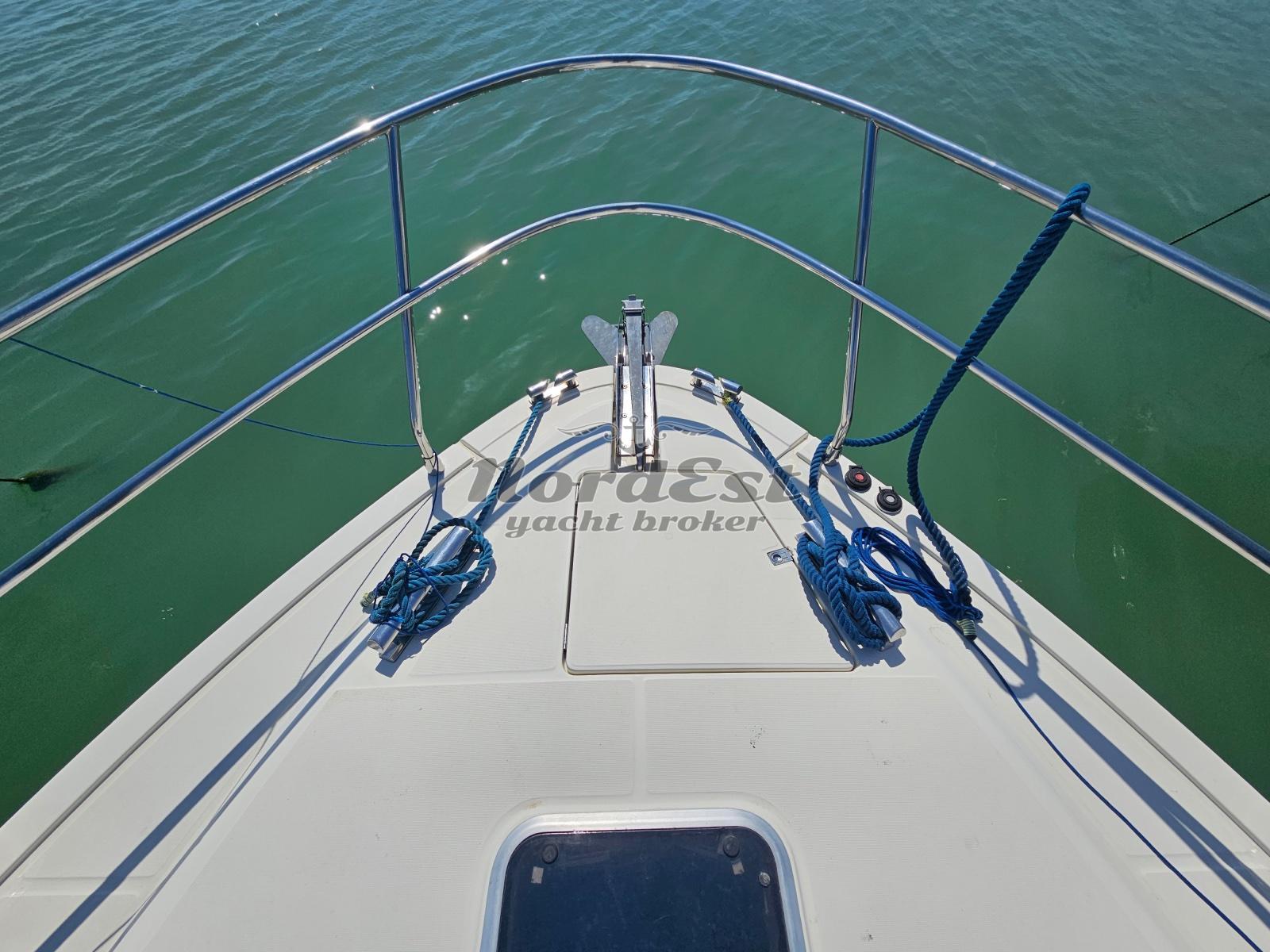 carnevali 50 fly