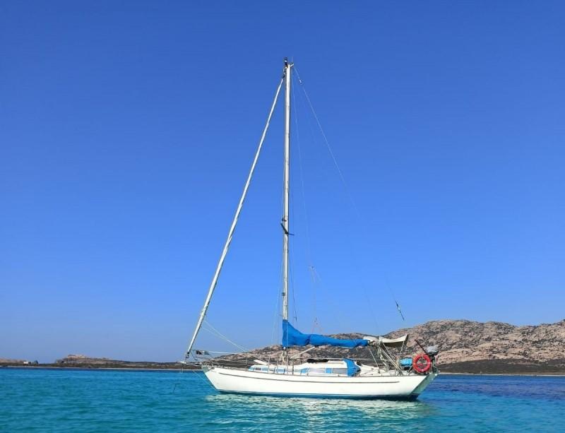 arne arksunds Amigo 33