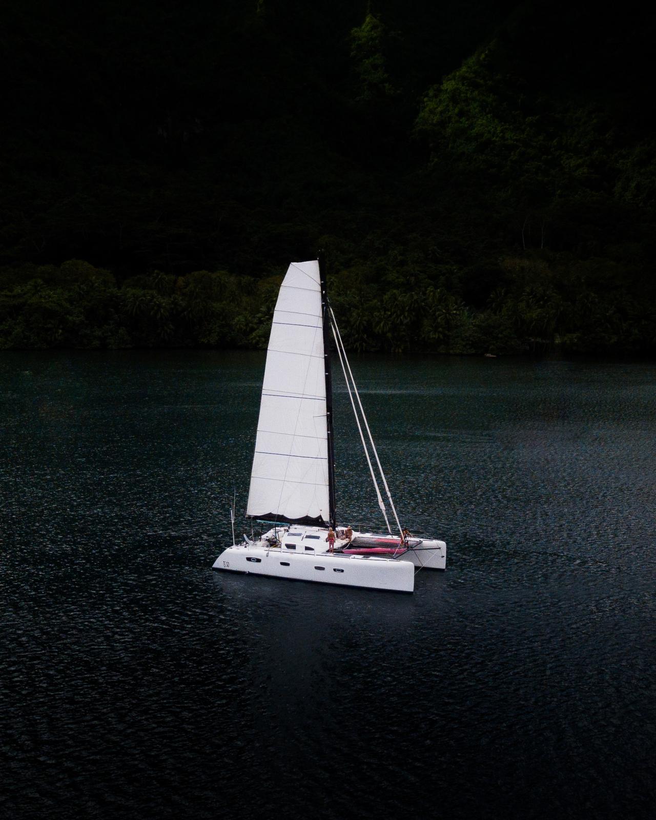 barreau/marsaudon Ts 50