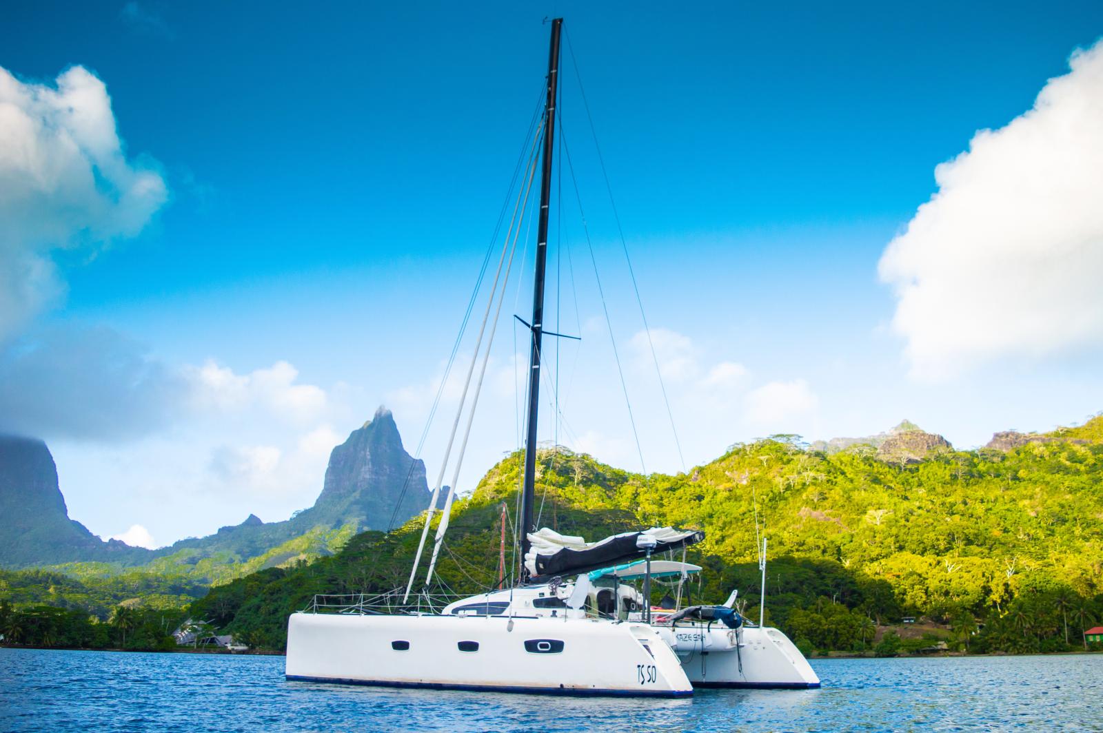 barreau/marsaudon Ts 50