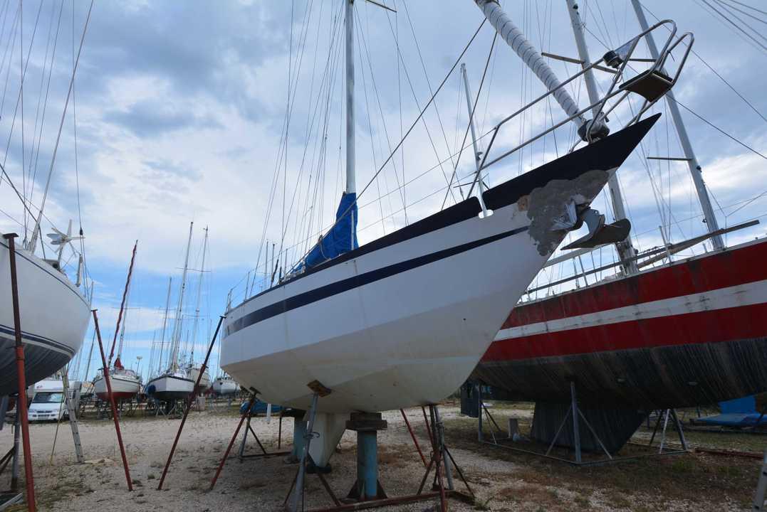 omn di colan marco Reve des tropïques