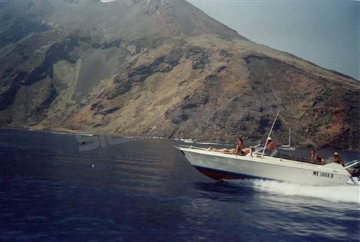 ilver Duke 31