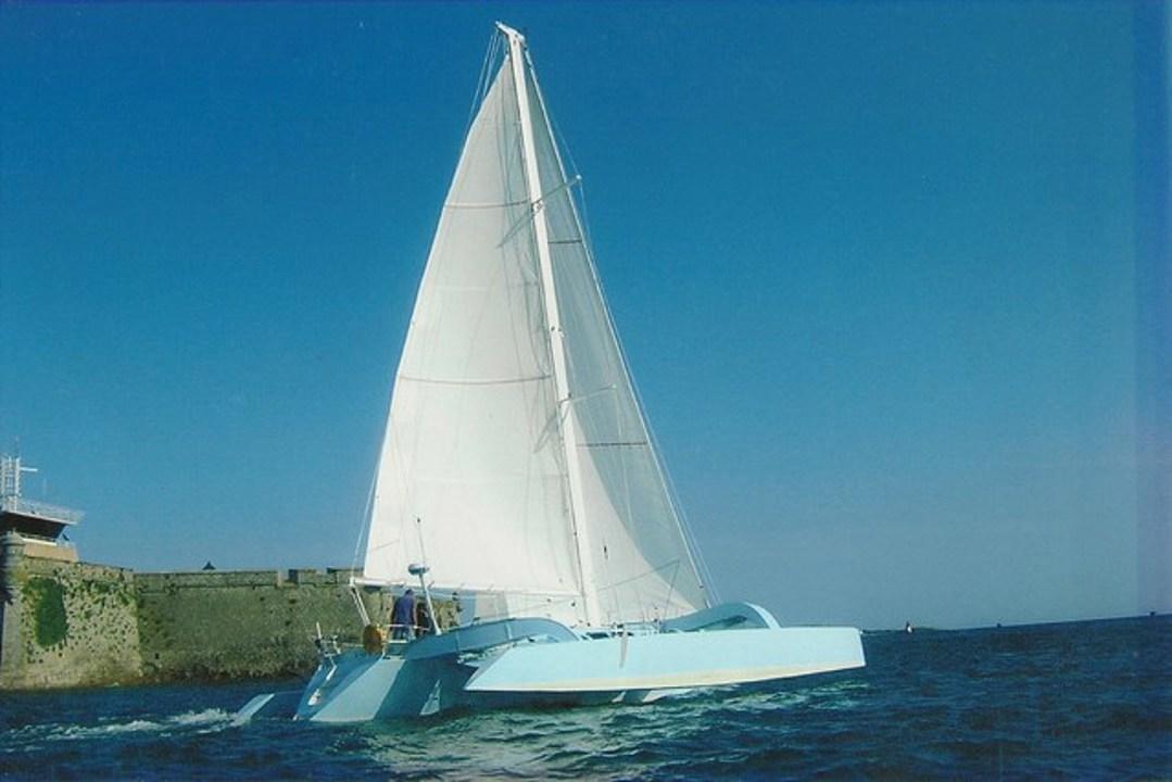 Tribellule