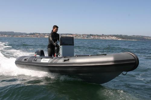 Tarpon tarpon ad50