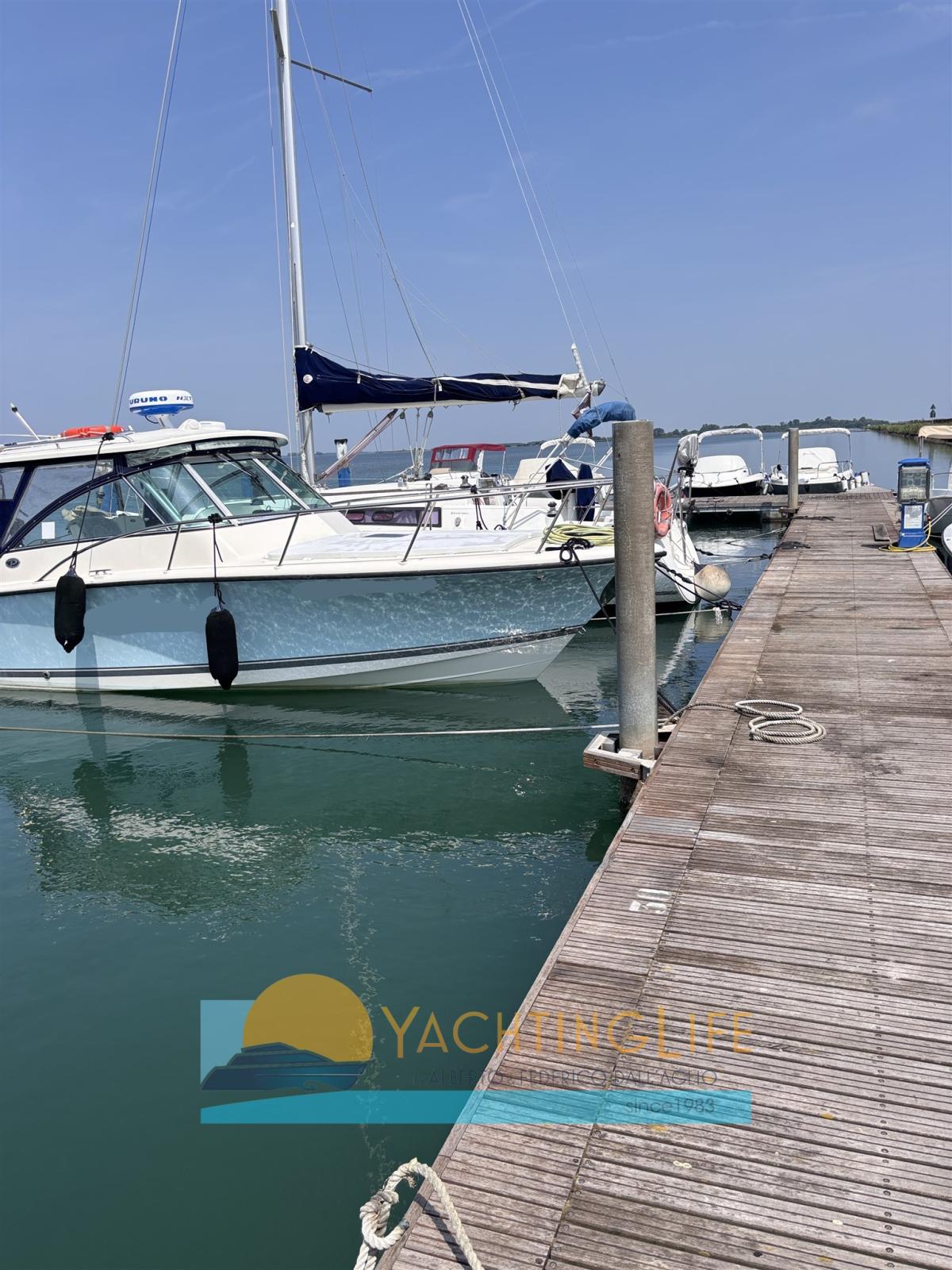 pursuit Sf 345 drummond