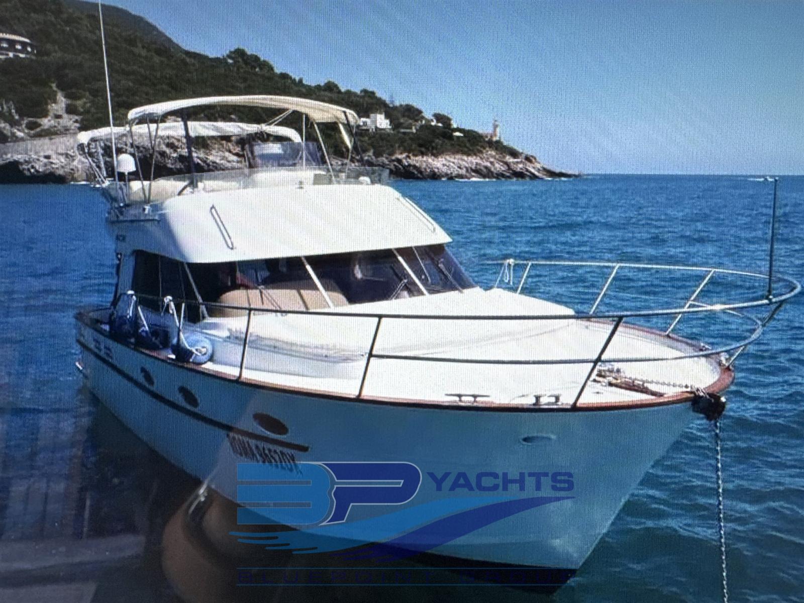 acm Excellence 38