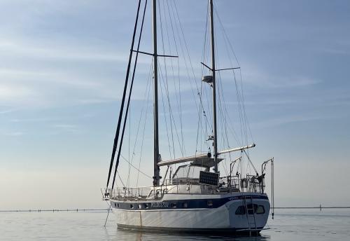 motiva 50