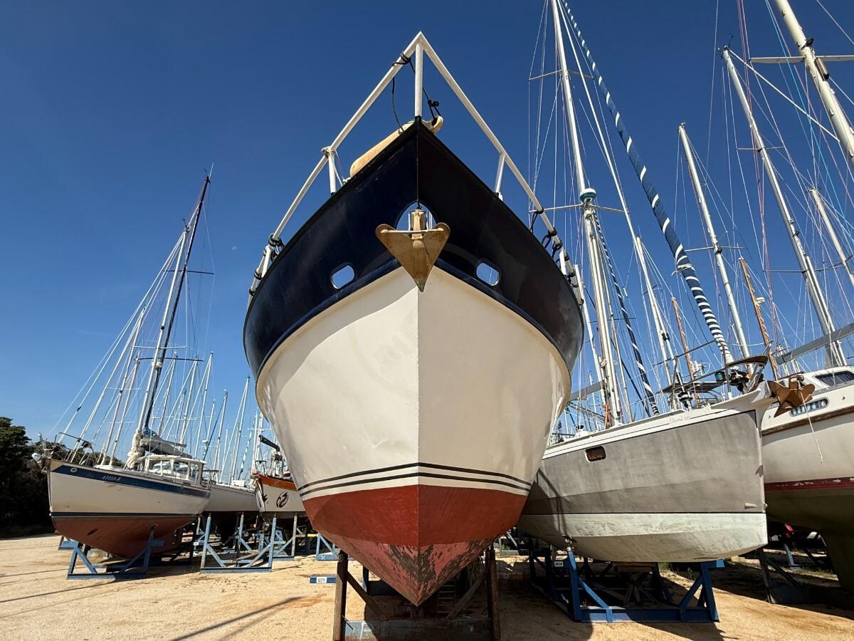 de groot De groot 45